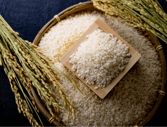 お米ソムリエの資格