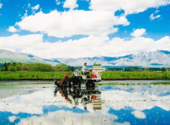 まいふぁーむの特別栽培米　おすすめレシピ